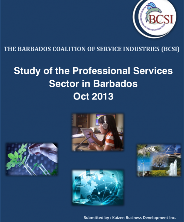 Professional Service Sector Study (2013)